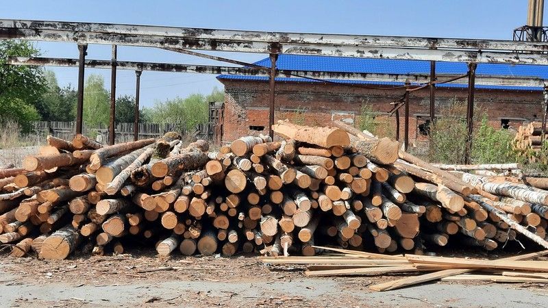Минприроды взыскало с АО "Аргус СФК" больше 9 миллионов рублей за причинение ущерба лесам