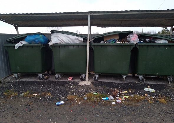 В деревню Мишино Сосьвинского округа 3 месяца не ходит мусоровоз