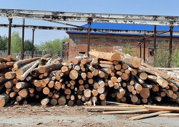 Компания, с которой суд взыскал 9 миллионов за причинение ущерба лесам, не решила будет ли оспаривать решение суда