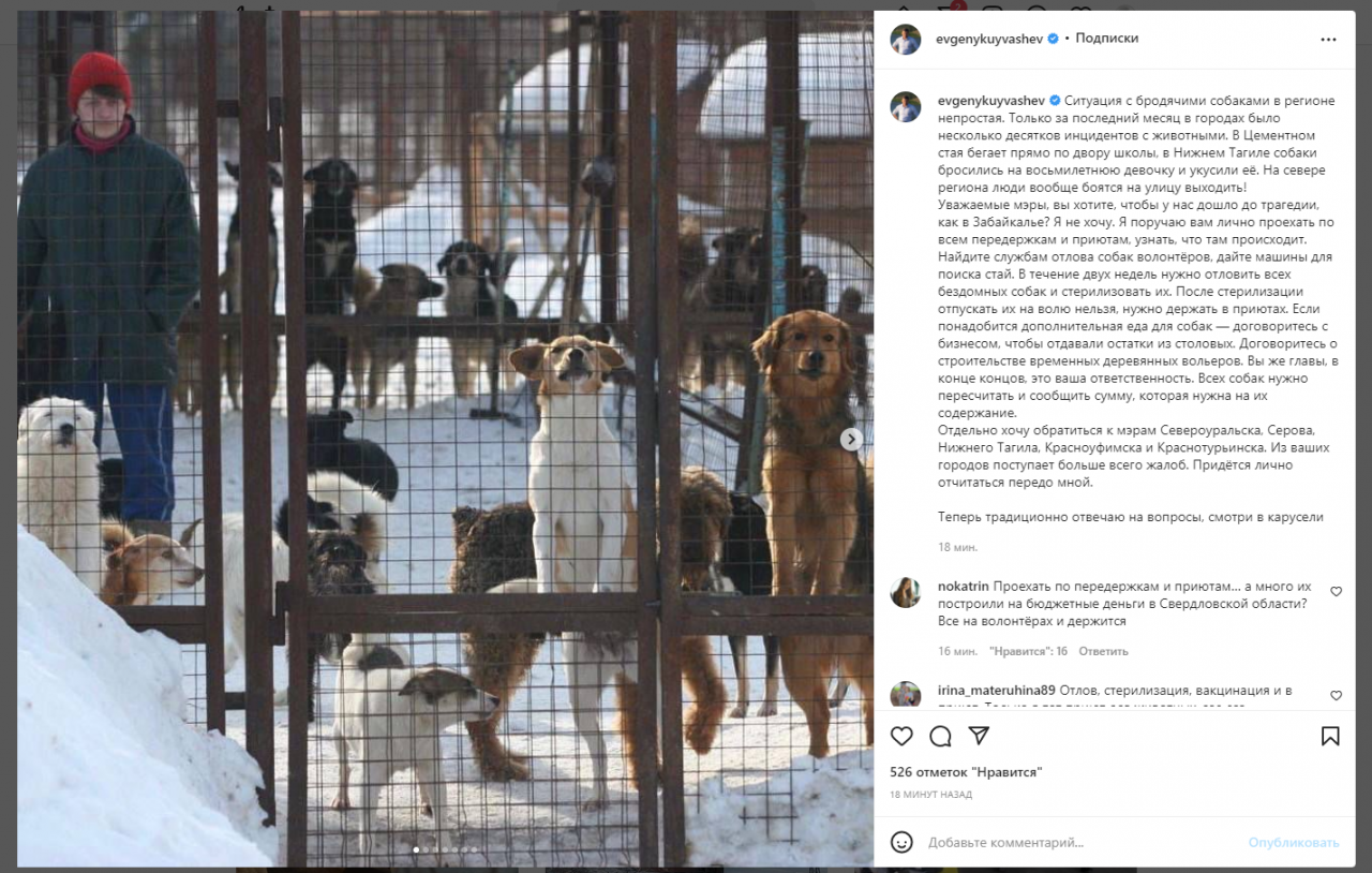 Губернатор потребовал у мэров доложить о решении “собачьего вопроса”: "На севере региона люди вообще боятся на улицу выходить!”