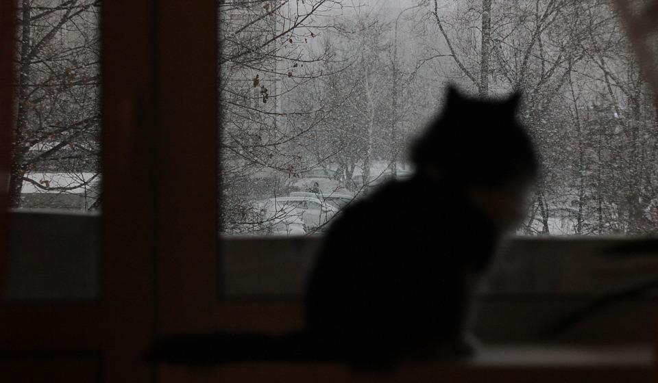 Завтра ожидается похолодание до минус 34 градусов и снегопады