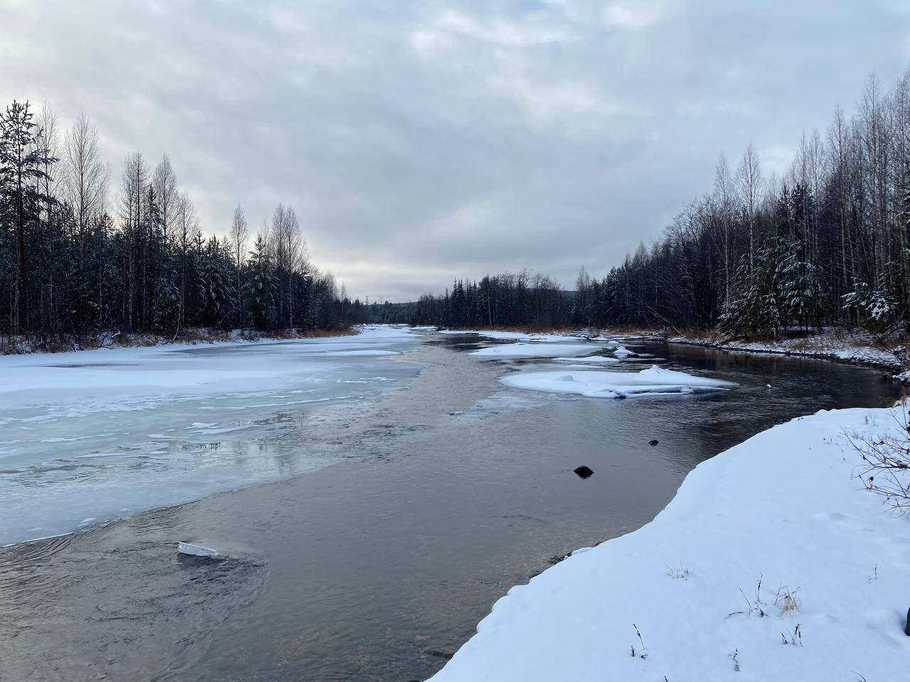 Под Гарями ищут пропавшего 69-летнего рыбака из Ликино