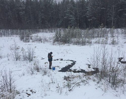 Росприроднадзор отобрал пробы воды и почвы в зоне возможного влияния Ново-Шемурского карьера