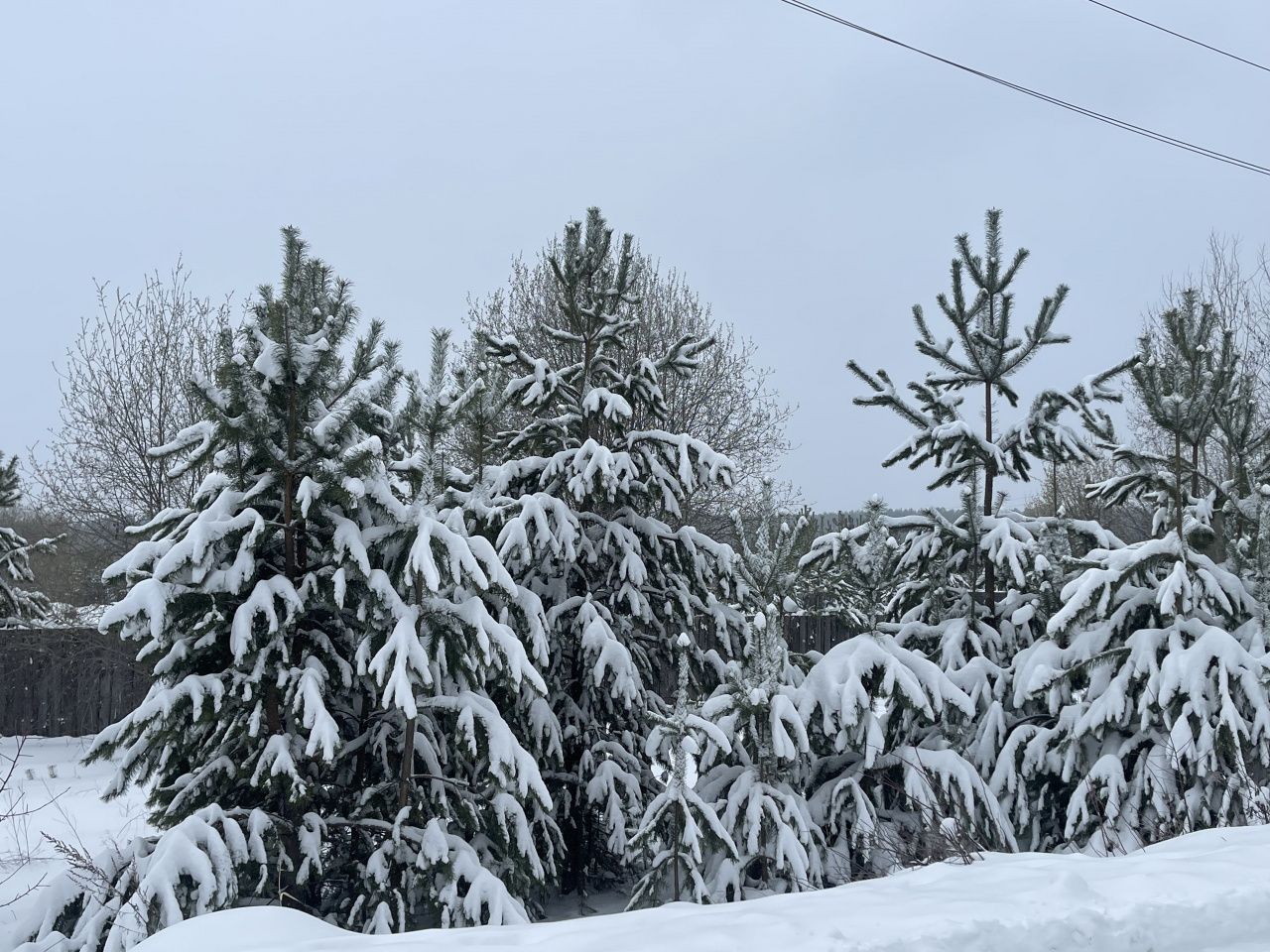 За пять дней апреля в Гарях выпало 135% месячной нормы осадков