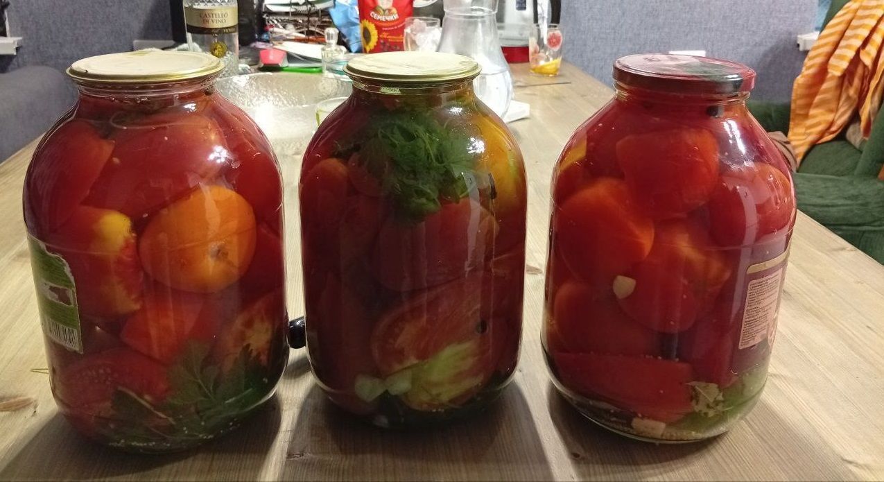 Определенный фаворит сезона-2025 - томат Фиделио