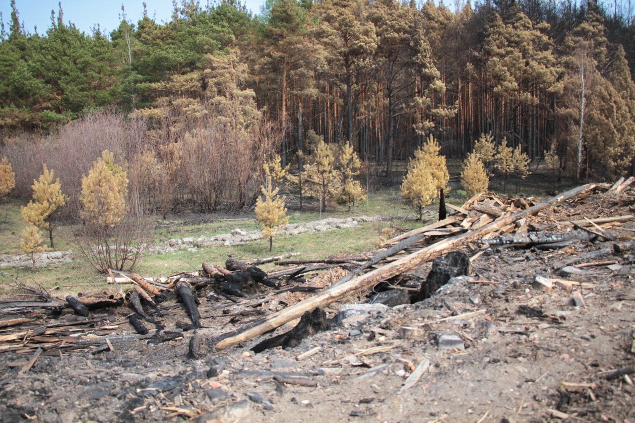 В Сосьвинском округе сделают противопожарную опашку 7 населенных пунктов
