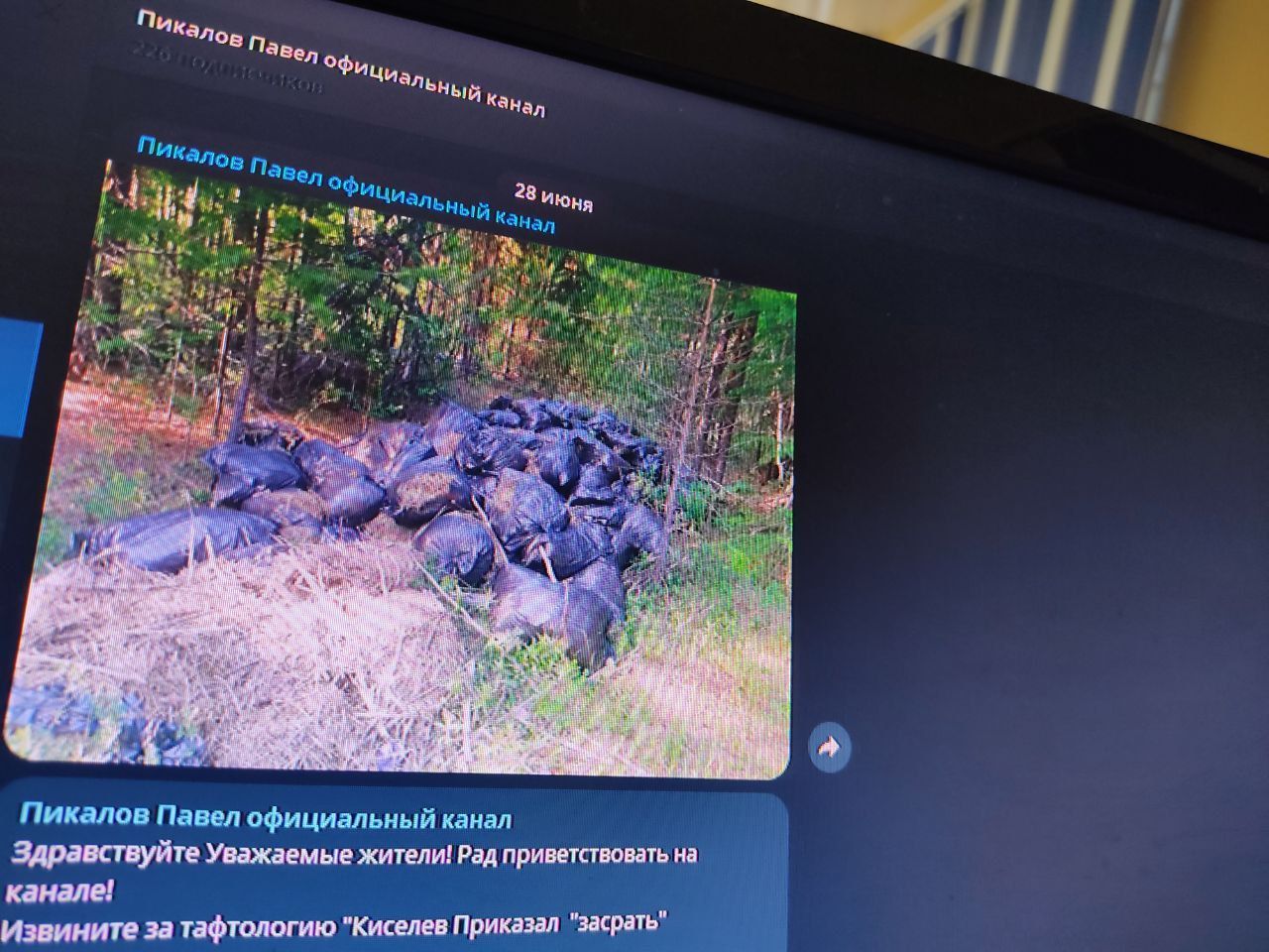 Общественник Павел Пикалов обнаружил незаконную свалку отходов в лесу под Сосьвой