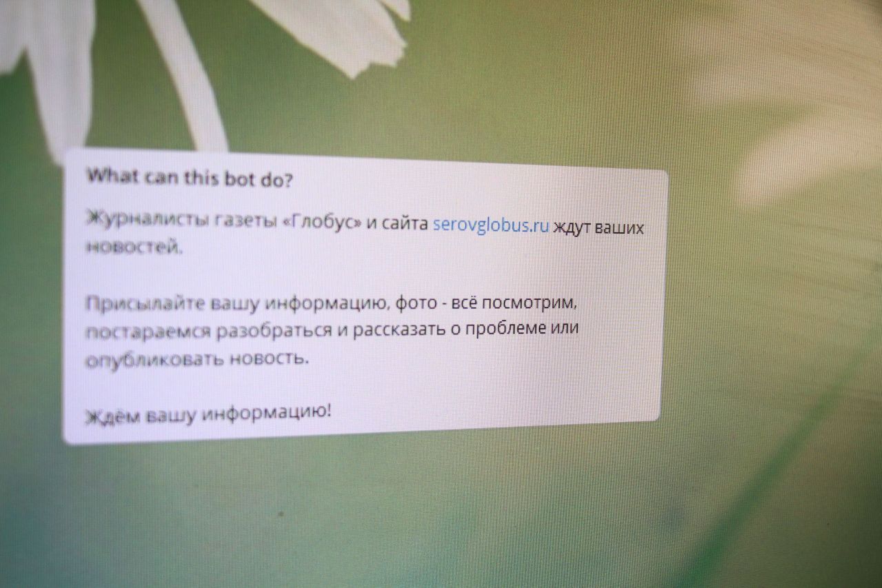 У газеты «Глобус» заработал Telegram-бот. Сообщайте журналистам об интересном