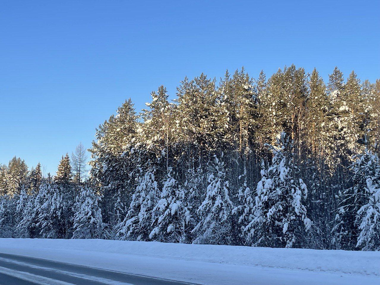 В ближайшие дни синоптики обещают слабоморозную погоду