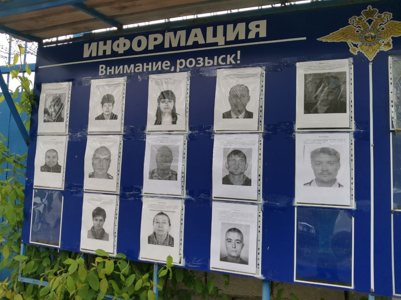 Помимо Анастасии Булгаковой в Серове, Сосьве и Гарях в розыске еще 15 человек