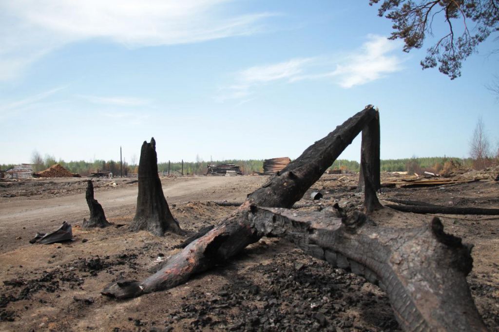 Огонь уничтожил несколько деревообрабатывающих предприятий. Фото: Константин Бобылев, "Глобус"