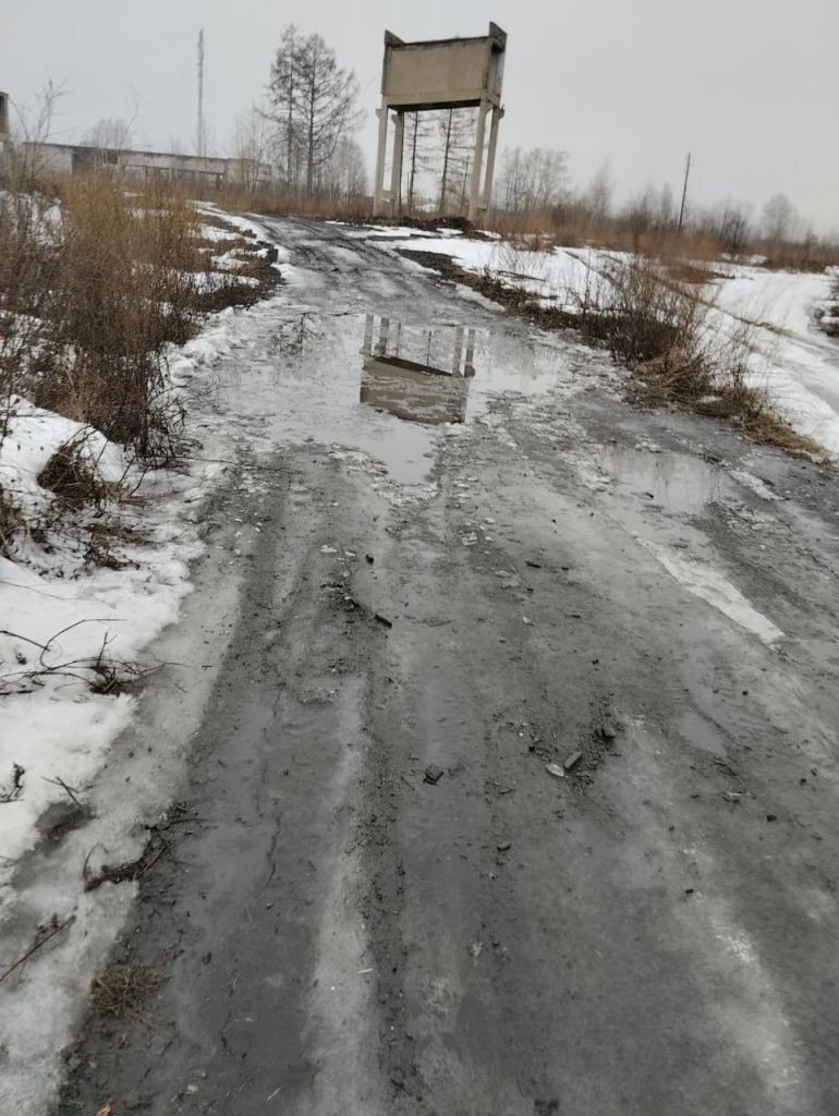 Дорога, которая проходит вдоль бывшего завода. Фото: Нина Кощеева