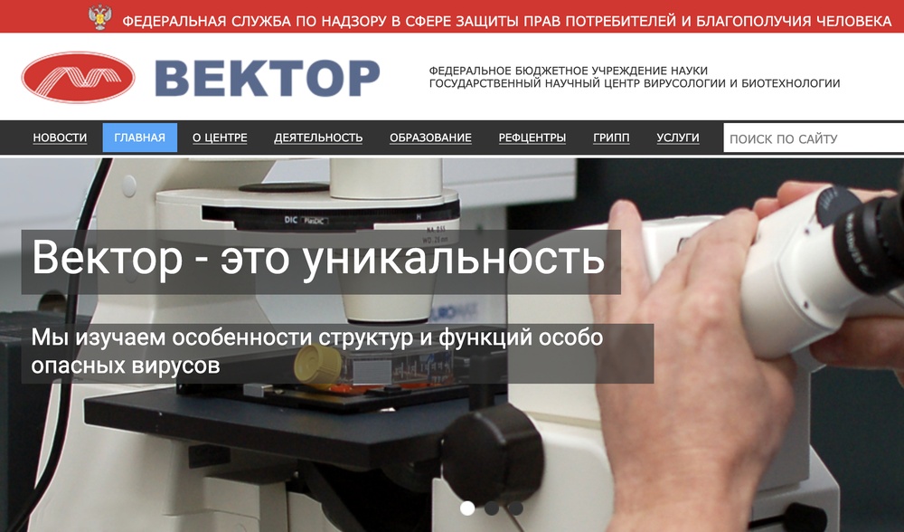 вектор.jpg вектор.jpg