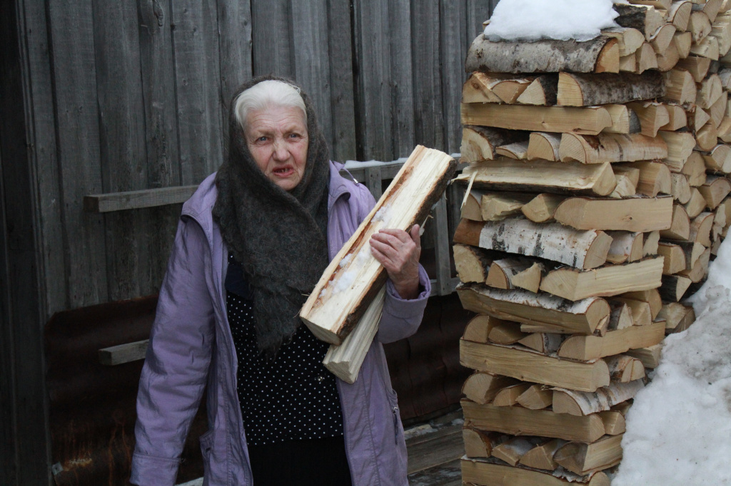 Машина дров, говорит Валентина Ивановна, стоит 4 - 5 тысяч. Фото: Константин Бобылев, "Глобус"