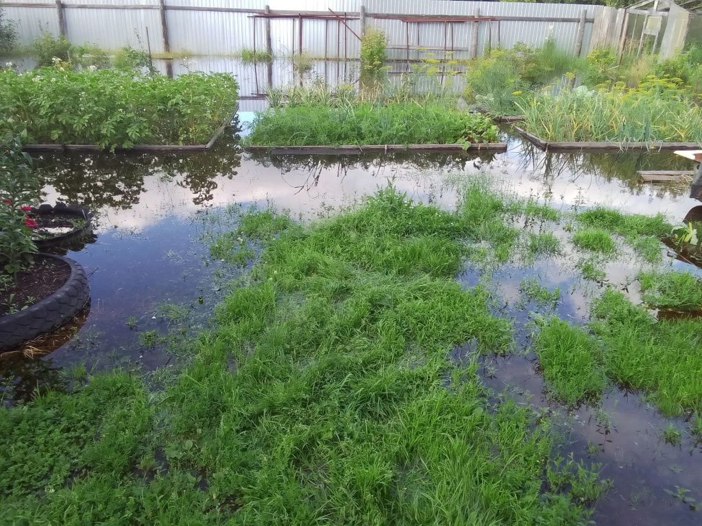 Огороды в конце улицы Щелканова скрыты водой. Фото: Николай Николаев Огороды в конце улицы Щелканова скрыты водой. Фото: Николай Николаев