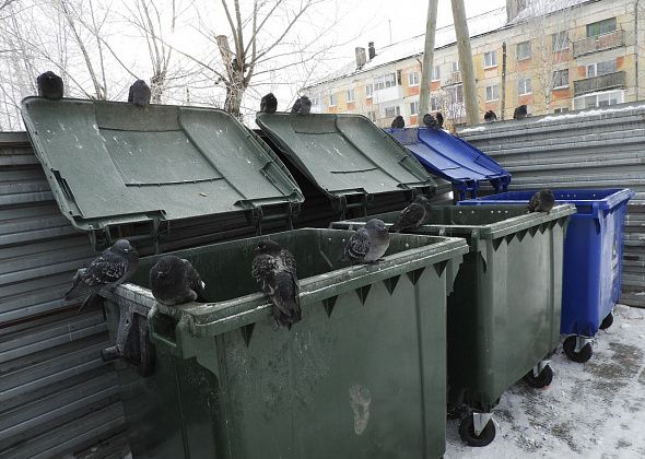 Мусор предлагают сортировать на пищевой и непищевой