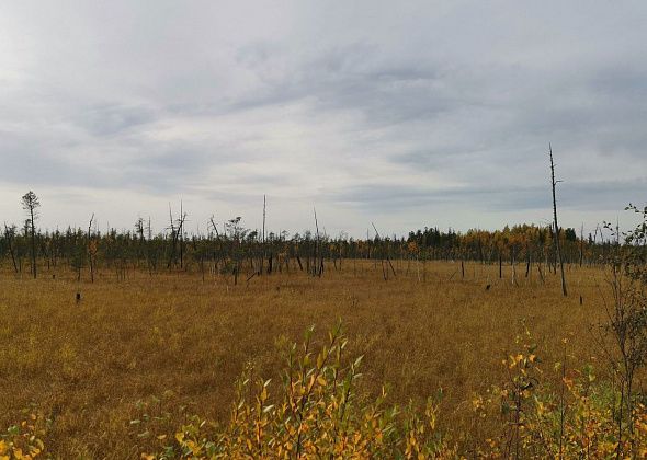 Гидросамолет совершил жесткую посадку под Советским. На место выехал Серовский транспортный прокурор
