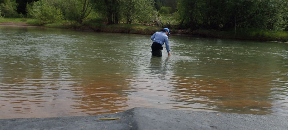 Еще один неравнодушный североуралец принес деньги для исследования грязных рек Урала