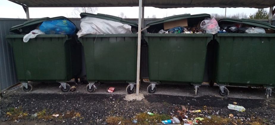 В деревню Мишино Сосьвинского округа 3 месяца не ходит мусоровоз