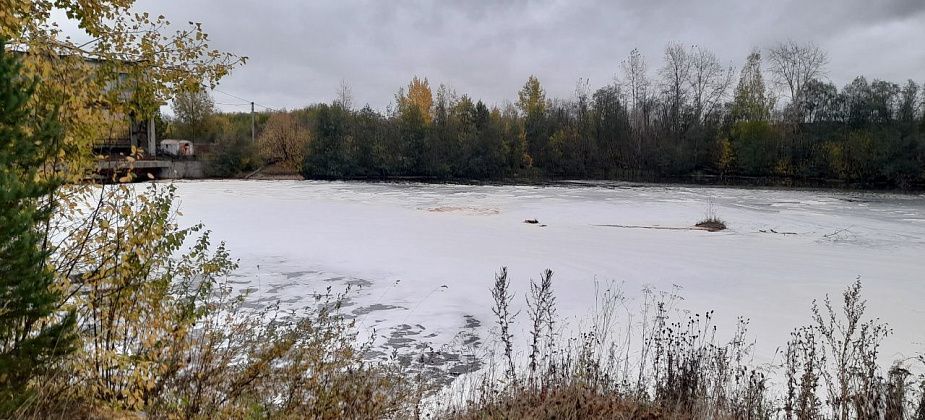«Вся рыба пошла дохлая». Кого рыбаки и жители Салтаново винят в загрязнении Ляли? 