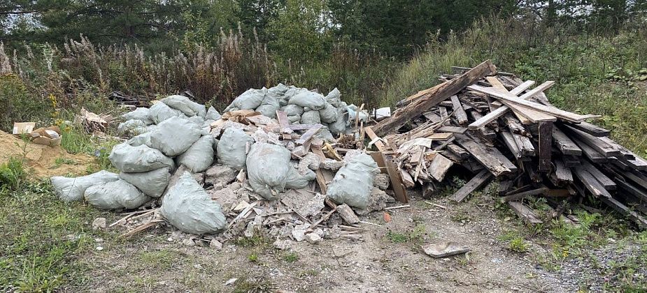 В лесах под Гарями установят фотоловушки для поимки организаторов незаконных свалок