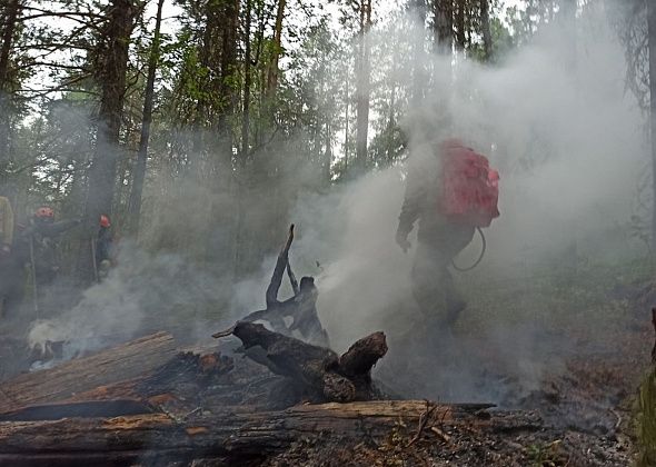 Пожар в заповеднике "Денежкин Камень": горит 25 гектаров, ждут вертолет