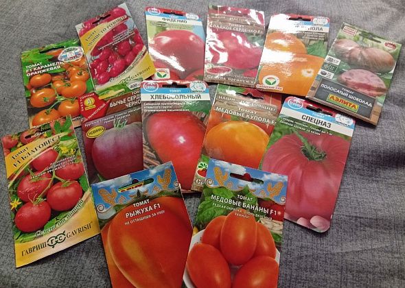 Про перцы, не требующие формирования, “нецветушную” капусту, правильный посев томатов