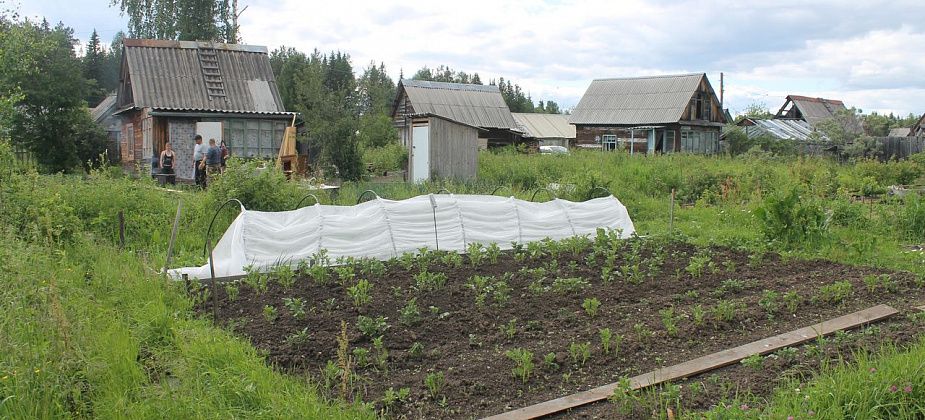 Дачников обязывают открывать расчетные счета. В противном случае - штрафы и… дисквалификация?