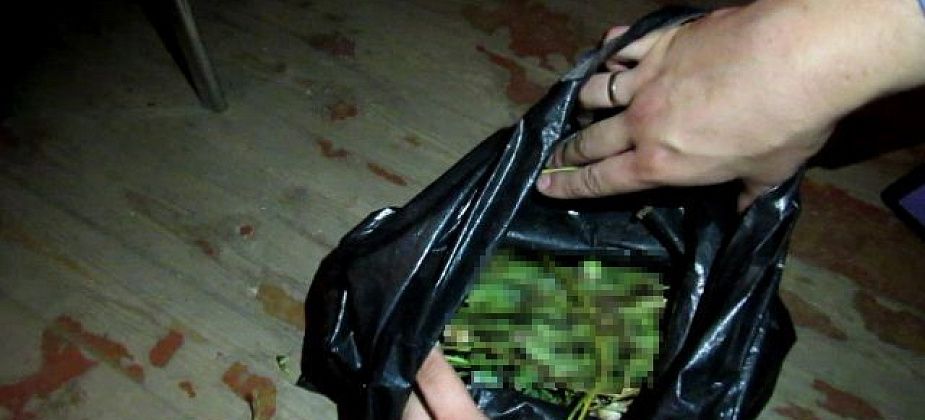 За 9 дней полицейские Серова выявили 3 наркопреступления. Они касались хранения мака и марихуаны, а также покушения на сбыт мефедрона