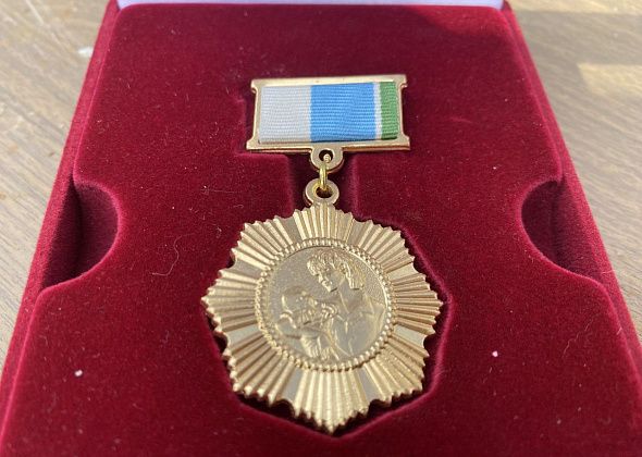 Жительницу Серовского района наградят за рождение и воспитание 8 детей