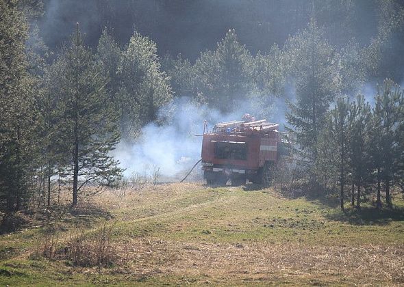 В районе Гаринского горокруга потушили самый большой и сложный лесной пожар в Свердловской области