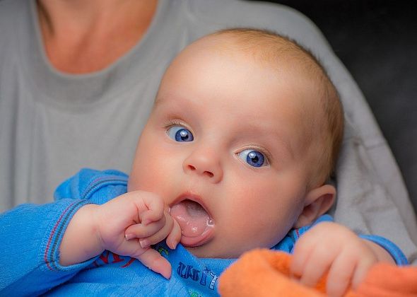 Родовые сертификаты скоро станут электронными