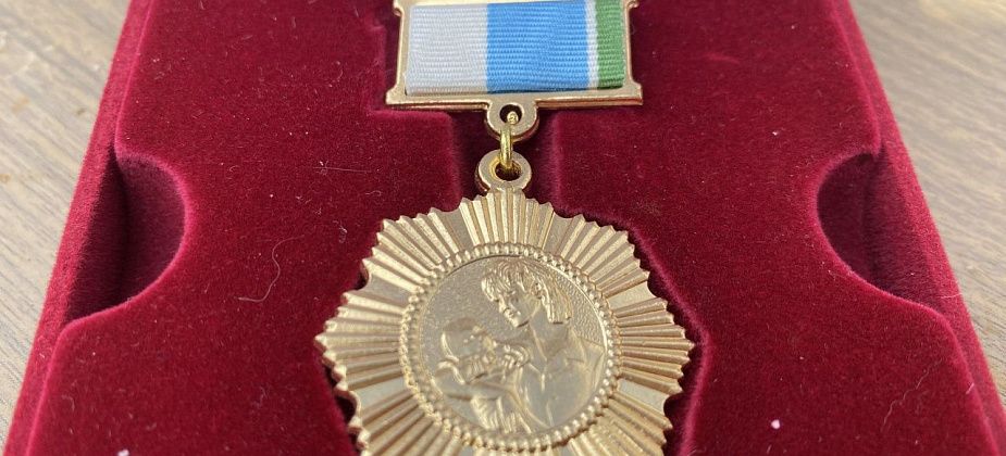 Серовчан и гаринцев наградят знаками отличия Свердловской области