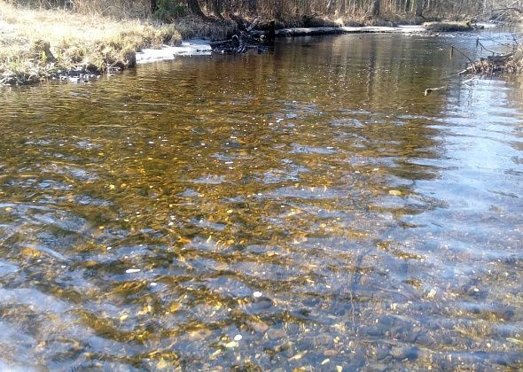 "Живой Шемур" дал разъяснения по пробам воды. Сосьвинцам это нужно