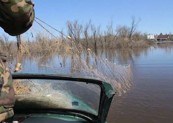В Гарях осудили рыбаков, которые ловили рыбу сетями