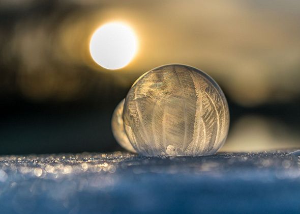 Адвент-календарь: день второй - делаем уличные украшения