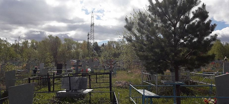 Водитель ритуальной компании воровал оградки на могилах