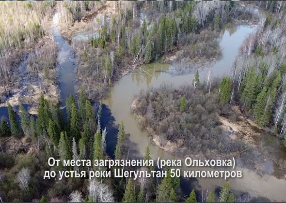 С дрона сняли, как грязный Шегультан вливается в Сосьву