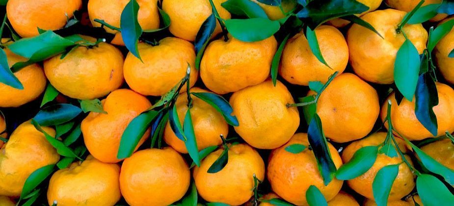 Как точно выбрать сладкие и спелые мандарины?