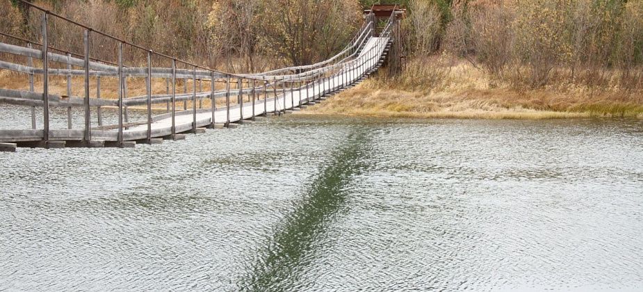 В зеленой реке рыбы нет. Рыбаки из Марсят и Маслово жалуются, что в Сосьве больше нечего ловить