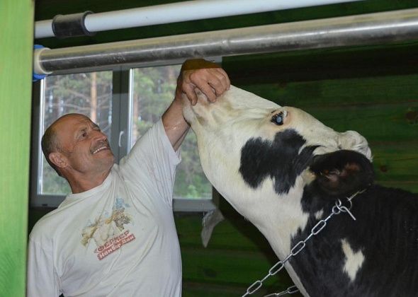 Евгений Куйвашев утвердил выделение дополнительно почти 11 млрд рублей на поддержку свердловских аграриев