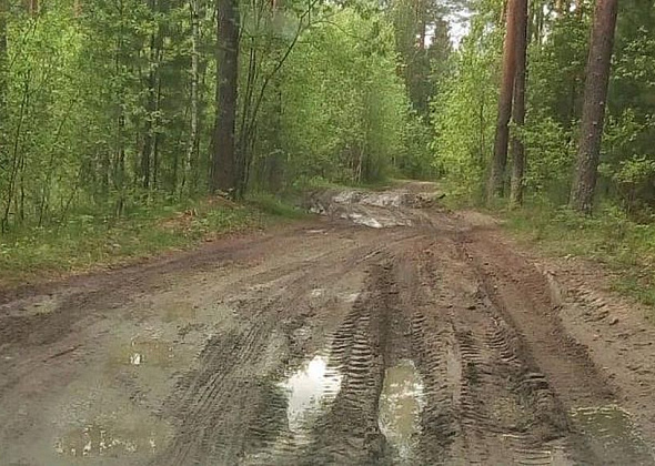 Власти рассказали, что необходимо сделать для приведения в нормативное состояние дороги до Мишина