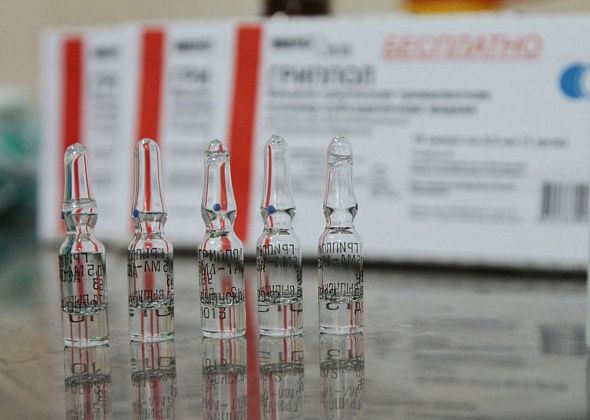 В Серове начнет работу "горячая линия", посвященная профилактике гриппа и ОРВИ