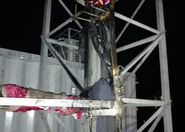 Женщина пыталась сжечь... вышку связи. Из-за "вреда здоровью"