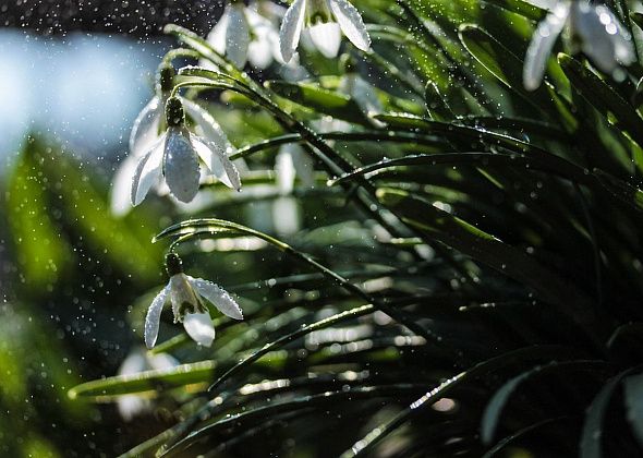 В майские праздники будет теплее, но с осадками