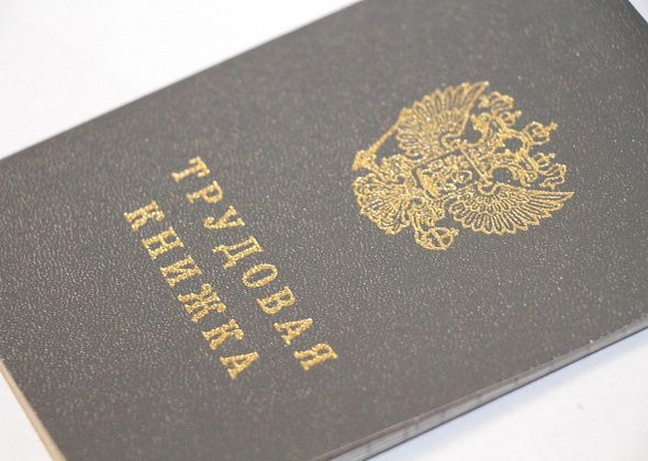 Звукооператор, врач, уборщик и другие вакансии в Серове и Сосьве в подборке центра занятости