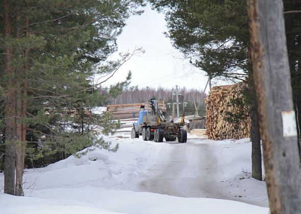 Осужденные-поселенцы и работники сосьвинской ЛИУ заложили дорогу для вывозки 1900 кубометров леса