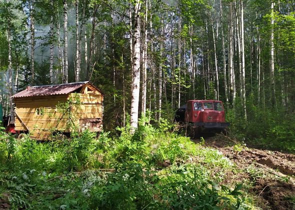 Бригада осужденных сосьвинской колонии начинает заготовку леса в Сотринском лесничестве