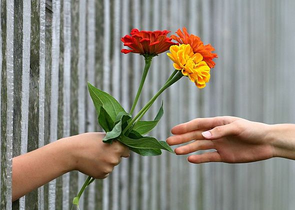 Учителям и врачам могут запретить принимать любые подарки, кроме цветов
