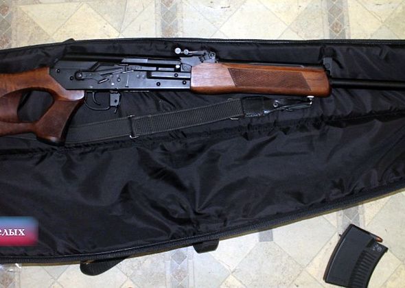Житель Восточного застрелил лосиху. Его будут судить